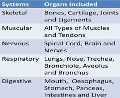The table shows a few example of Systems with included organs